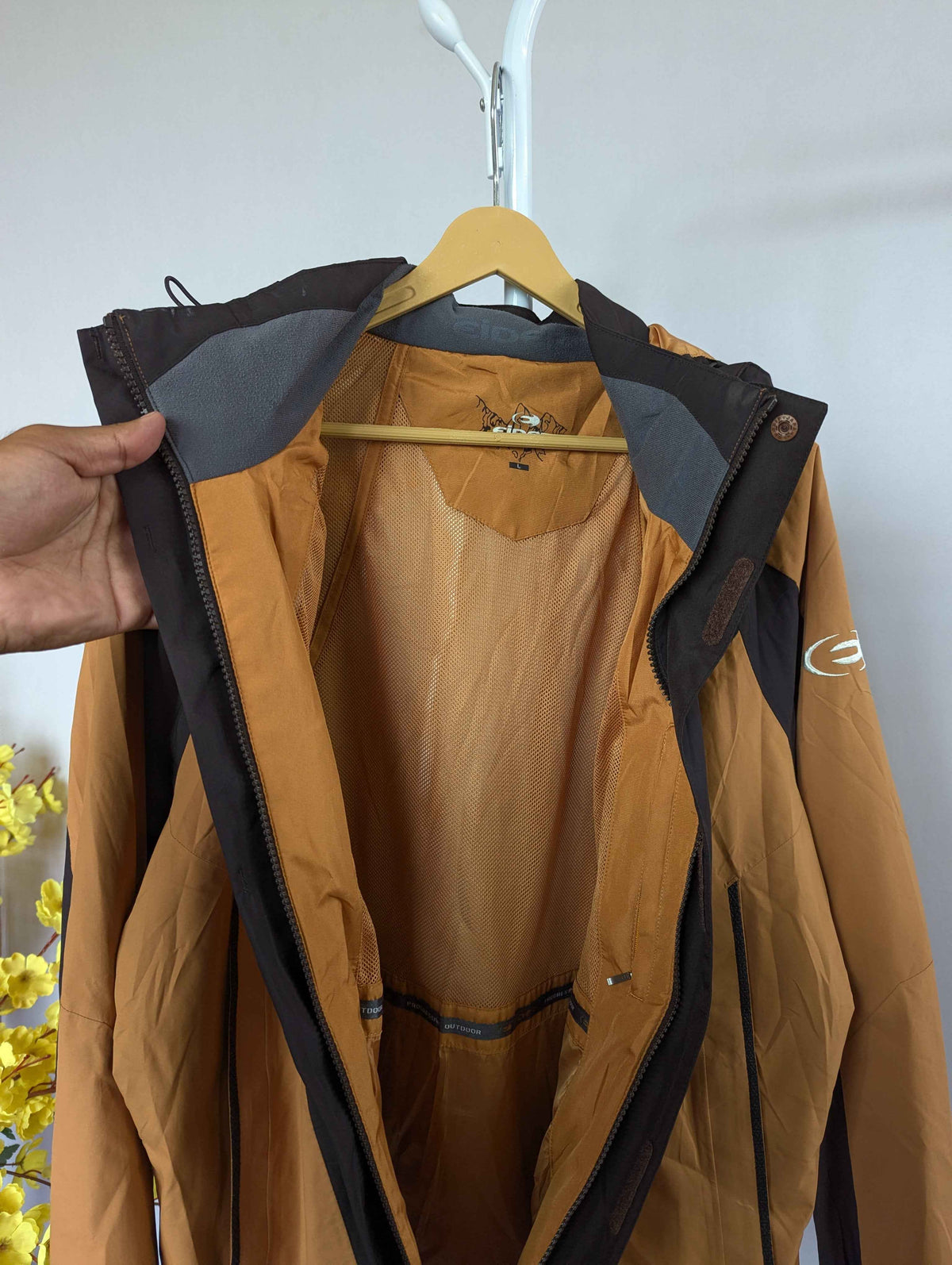 Eider-44(WP)